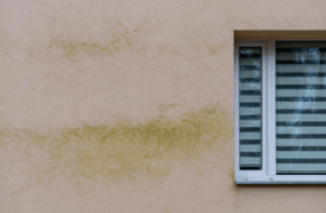 Znečištěné fasády jsou zdravotním rizikem